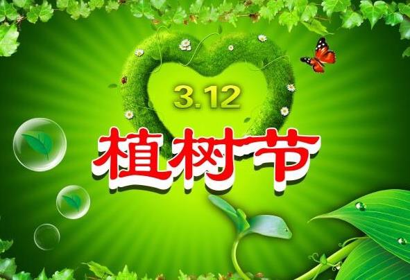 经济管理系积极开展义务植树活动